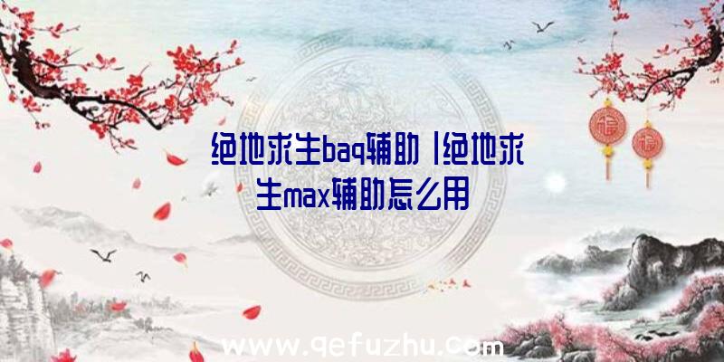 「绝地求生baq辅助」|绝地求生max辅助怎么用